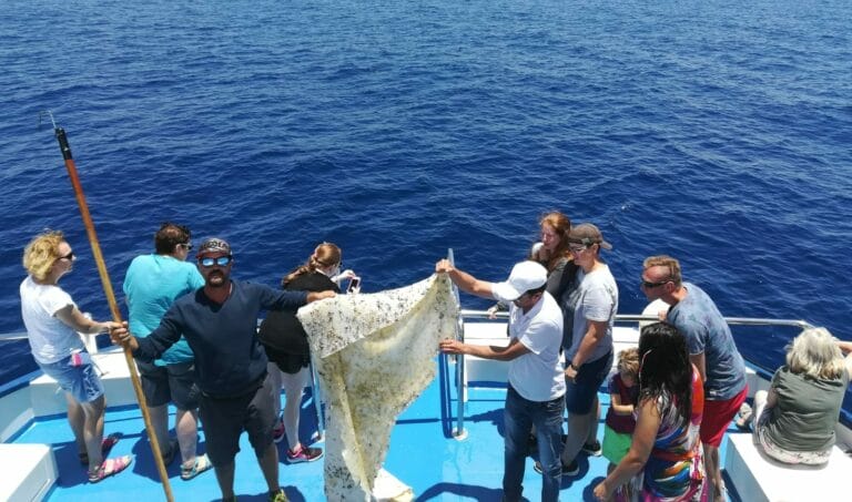 Estas basuras son un gran peligro para la fauna marina.