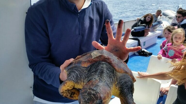 Rescate de tortugas por el Spirit of the Sea